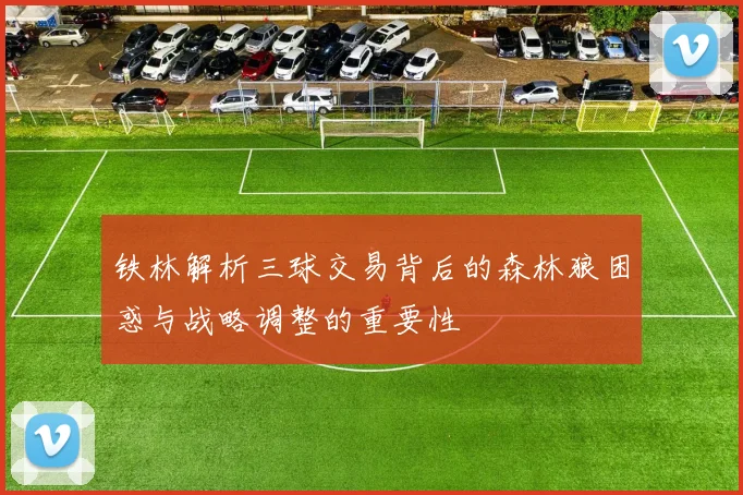 铁林解析三球交易背后的森林狼困惑与战略调整的重要性
