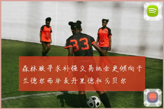 森林狼寻求补强交易机会更倾向于兰德尔而非麦丹里德和戈贝尔